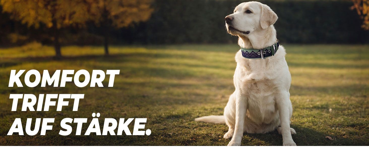 Нашийник для собак Premium NeckShield Kontroll – 5 см, з посиленим амортизуючим наповнювачем, сертифікована безпека SGS, професійний захист для великих і дуже великих собак, 50-58 см, колір Джунглі Ніч