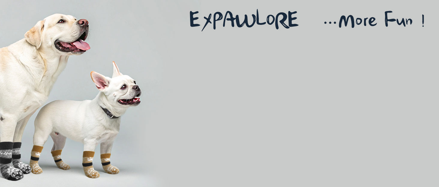 Шлейка та поводок для собак Expawlorer – класичний вибір для середніх собак, не тягнуть, регульовані, надійні для прогулянок, хакі (розмір M, обхват шиї 30-40 см, обхват грудей 40.6-45.7 см)