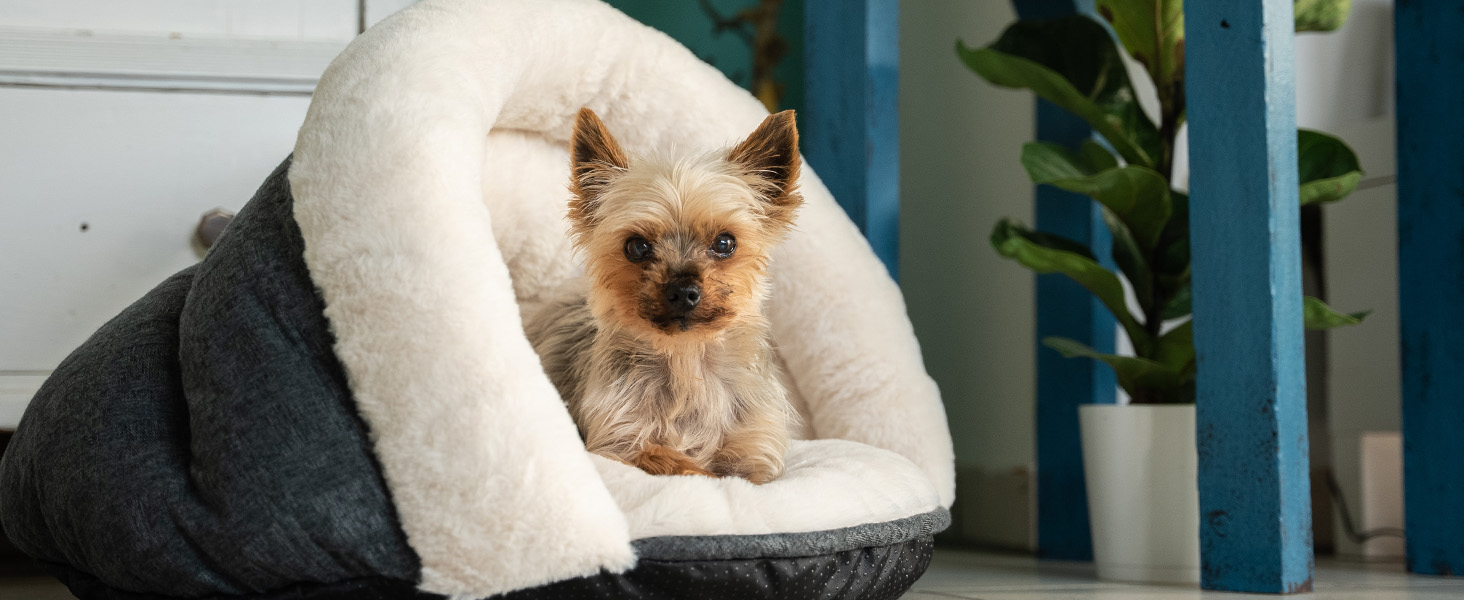 TrendPet LunaSuite: затишне ліжко для котів та маленьких собак (бежеве)