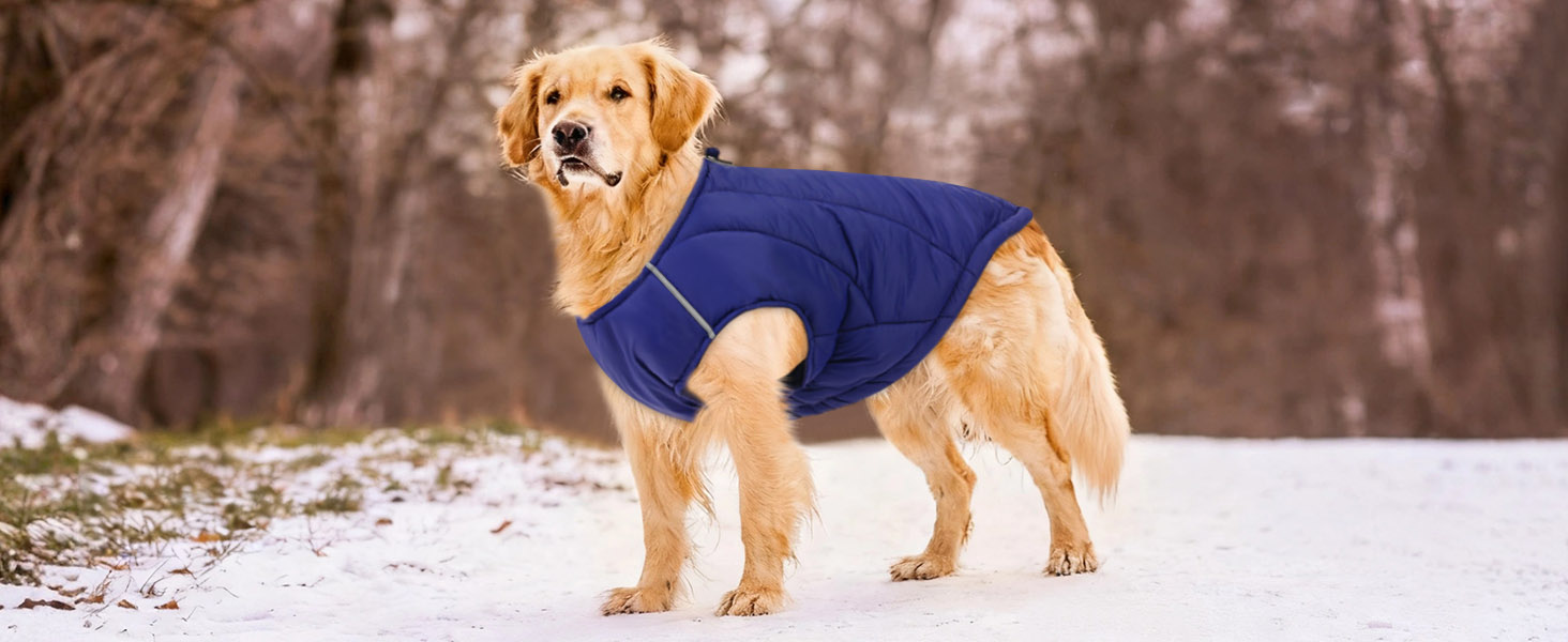 Водонепроникна куртка для собак - тепла зимова модель з блискавкою для малих, середніх та великих собак. Синій колір, розмір S.