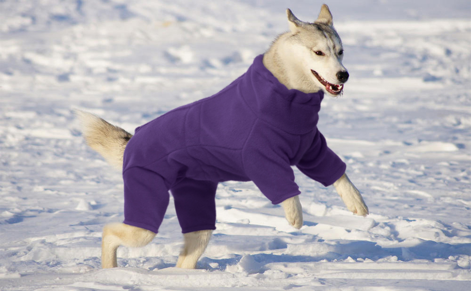 Зимовий теплий пуловер для собак, флісова куртка для маленьких, середніх та великих собак, вітронепроникний одяг для домашніх тварин з блискавкою, одяг для чихуахуа (XXS-3XL) 3XL фіолетовий