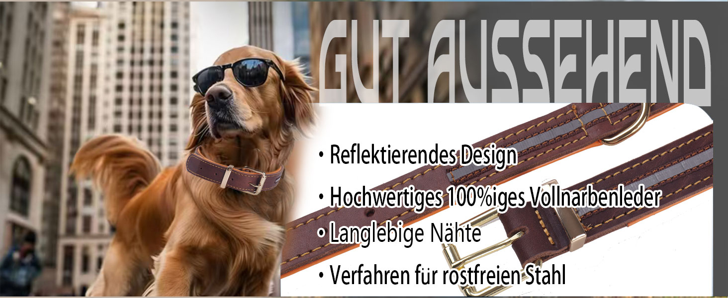 Нашийник для собак з натуральної шкіри, великих та екстра-великих порід (колір коричневий, розмір M)