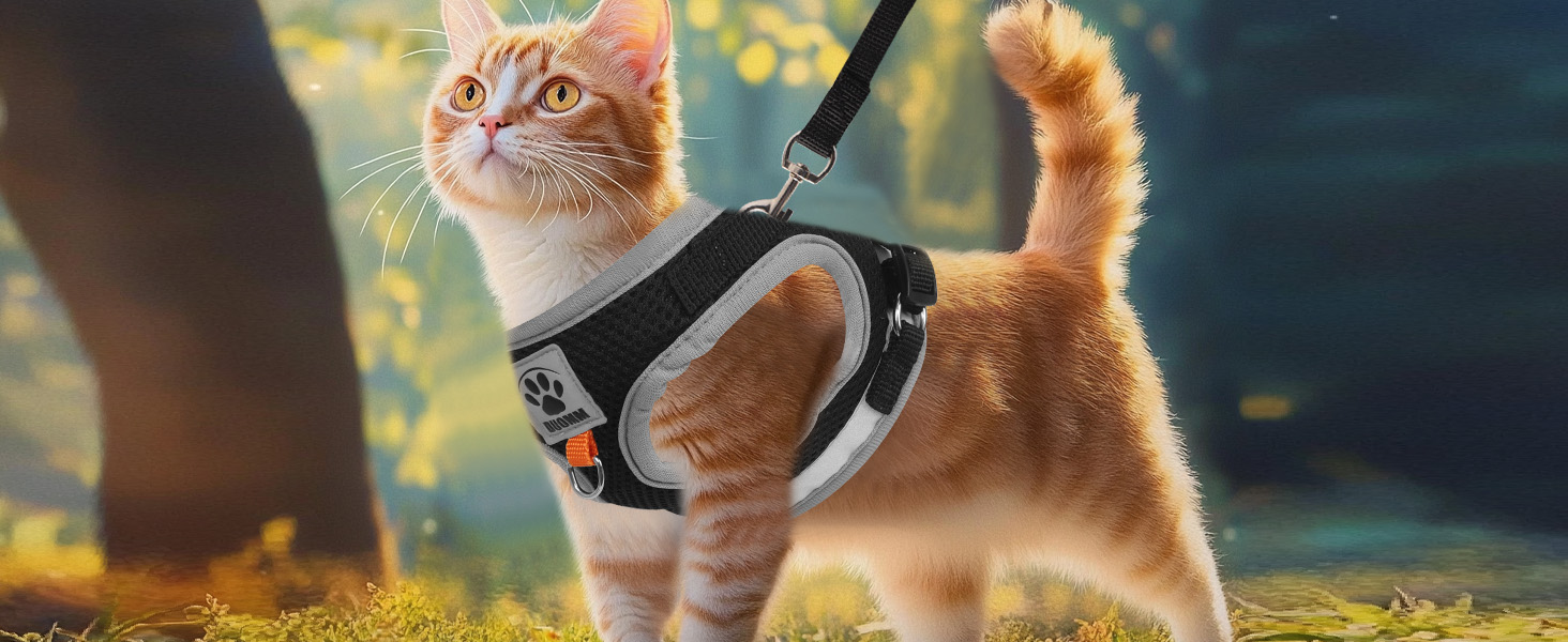 Нашийник для кота Bindokun з повідком, антивитік, комплект, чорний, S