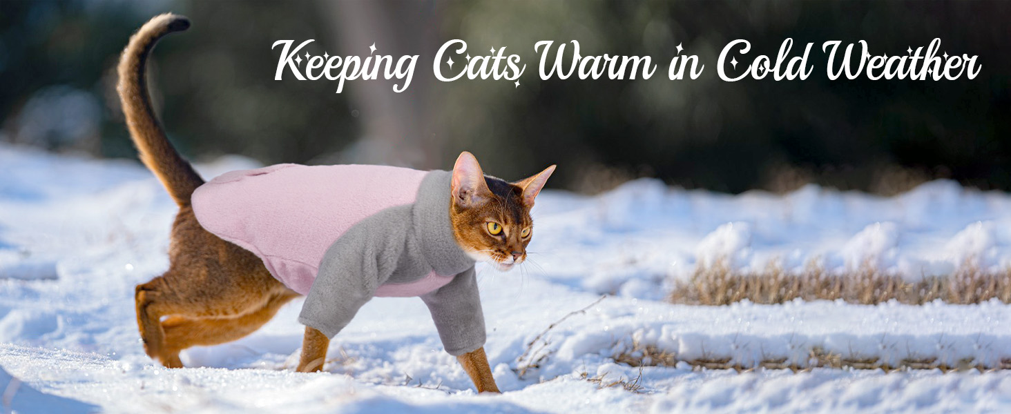 Теплий зимовий пуловер для кота Сфінкс (Рожевий, S) - Зимовий одяг для котів, флісова куртка, пуловер