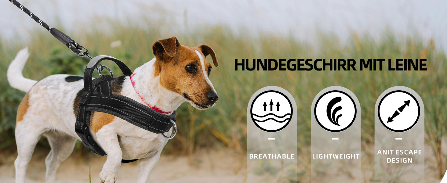 Нашийник для собак середніх та маленьких порід з повідком, кольоровий, сітка, м'який, з ручкою та кільцем, світловідбиваючий, легкий, чорно-сірий, розмір M