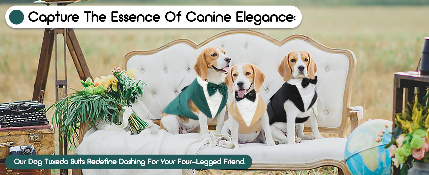 Костюм для собак з банданою, набір для святкування (весілля, день народження, Хелловін) - чорний з сріблястими смугами (M)