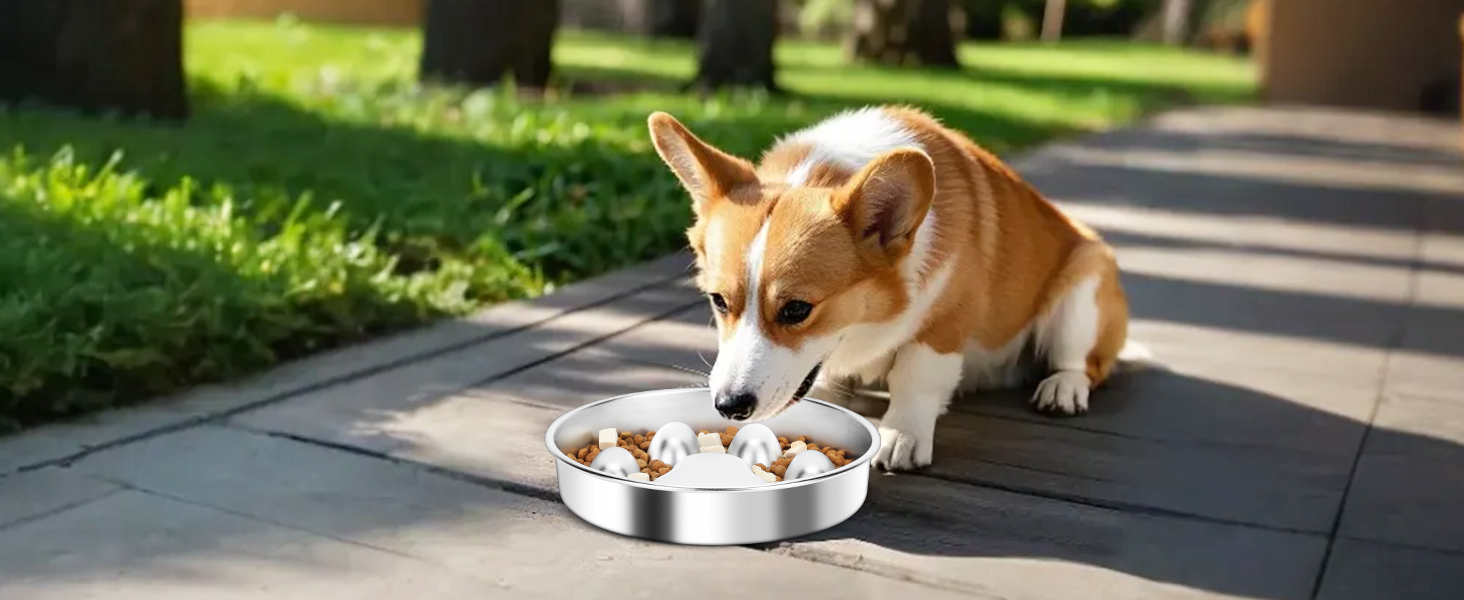 PETTOM Миска для собак протиковтання, нержавіюча сталь, Ø21 см, велика, повільне годування 21*21*4 см