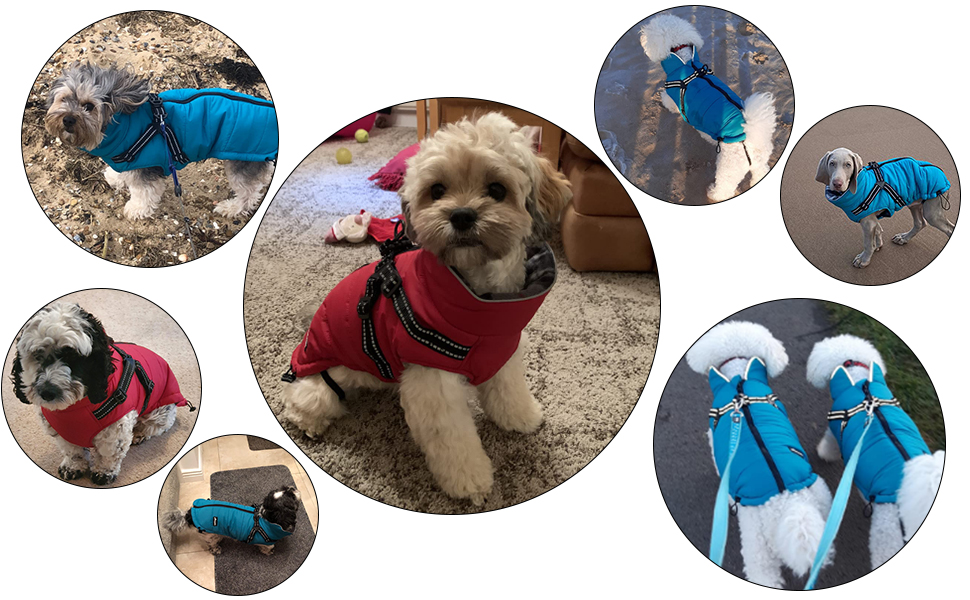 Водонепроникний теплий зимовий одяг для собак, розмір M (довжина спини 34 см), колір зелений. Підходить для маленьких собак, цуценят, для прогулянок на вулиці. З коміром та блискавкою.