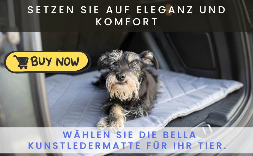 Килимок для собак BARRY & LUCY: лежанка, килимок в авто, килимок для годування. Легкий догляд, водонепроникний, штучна шкіра (55x75/75x55, чорний)