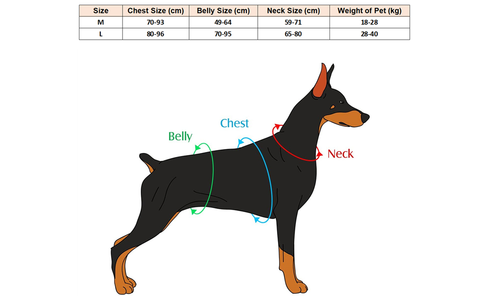 Рюкзак для собак середніх та великих порід, сумка-рюкзак для подорожей, прогулянок та тренувань, водонепроникний, з регульованою шлейкою та ручкою (зелений, L, 28-40 кг)
