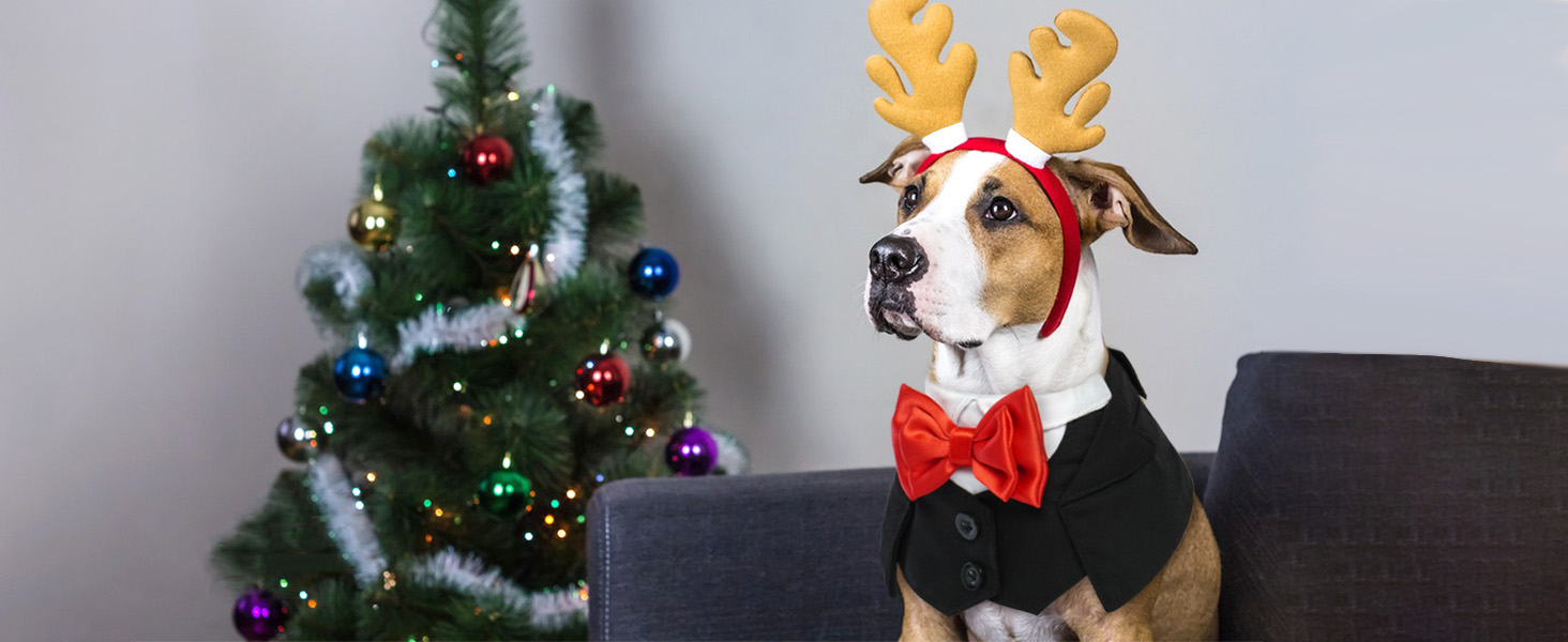 Нашийник для собак з краваткою для весілля, смокінгу, Дня святого Валентина, дня народження - костюм для собак, одяг для котів (чорний, M) M Чорний
