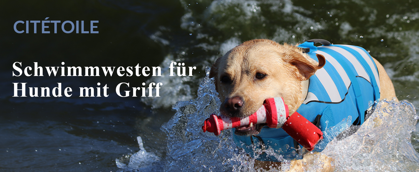 Жилет рятувальний для собак, блакитний XXL, регульований, для малих, середніх та великих собак