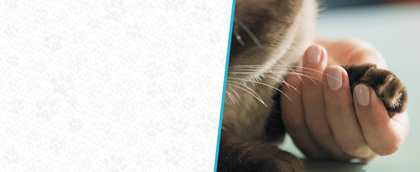 Шліфувальник для собак Candure: безшумний тример для кігтів з LED-підсвіткою, 360° та змінним насадженням, підходить для всіх порід (XS, блакитний)