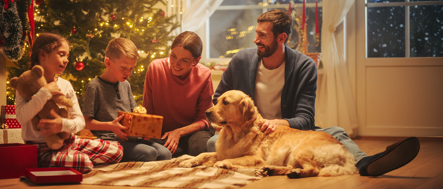 Котячий комплекс YITAHOME XXL, 190 см, з 8 стовпчиків сизалю, 3 платформи, 2 будиночки, кошик, гамак, іграшки, колір рожевий