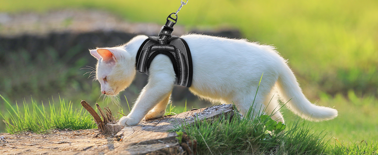 Нашийник та поводок для котів Rabbitgoo - безпечний, регульований, з відбиваючими смугами, сірий, M