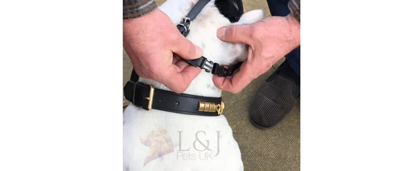 Нашийник-маска для собак L&J Pets з м'якої шкіри, чорного кольору, для Джек Рассел та подібних порід (JA2, JA3)