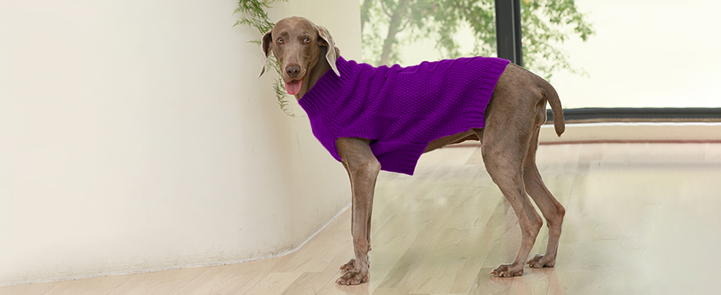 Пуловер для собак IECOii Great Dane, XXXXL, великі породи, теплий зимовий пуловер для собак, зелений, 5XL XXXXX-Large Armygreen