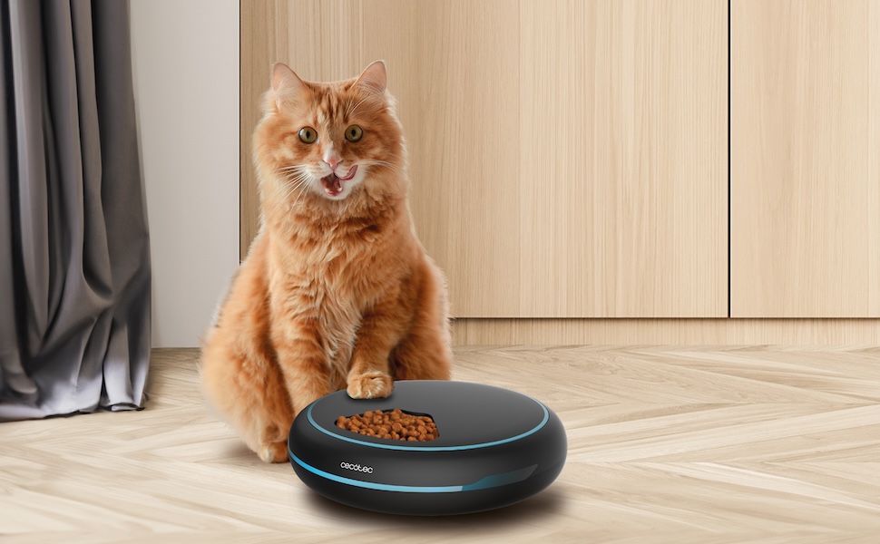 Автоматичний годівниця для домашніх тварин Cecotec Pumba 1600 Purrfect Meal - 1.6 л, 4 відділення, таймер, LED-дисплей, голосовий рекордер