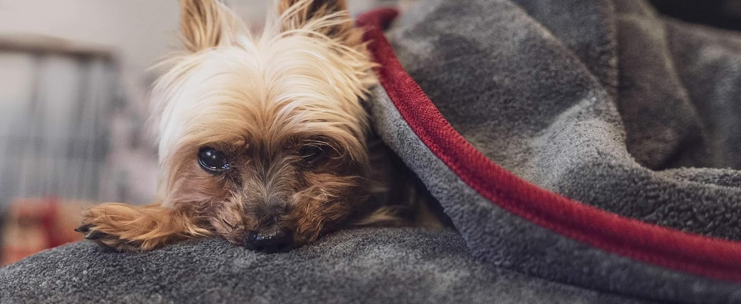 TrendPet Рушник для собак та котів, сушильна ковдра, 110x80 см