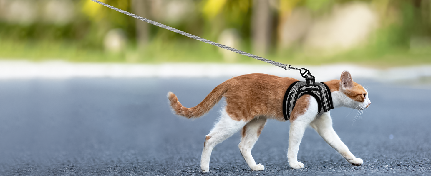 Нашийник та поводок для котів Rabbitgoo - безпечний, регульований, з відбиваючими смугами, сірий, M