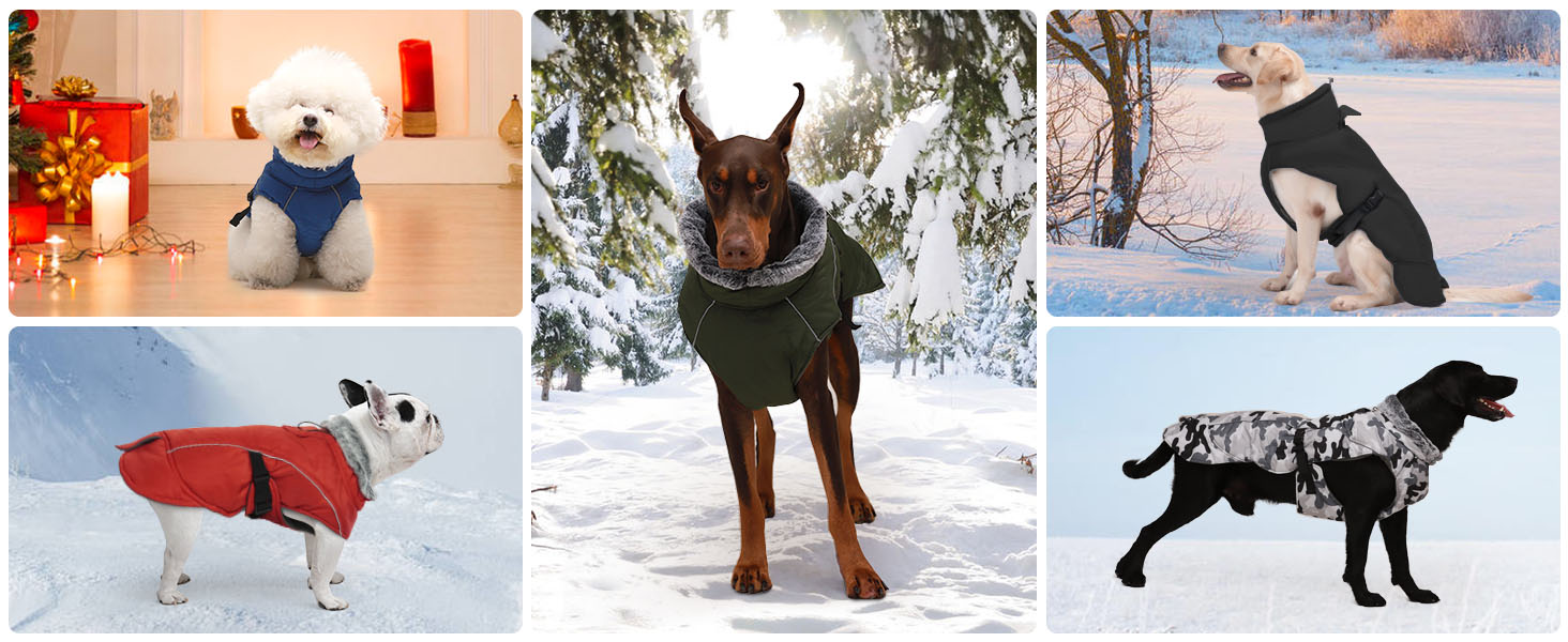 Водонепроникний теплий зимовий одяг для собак DENTRUN, флісова підкладка, куртка для собак середнього розміру (Синій, M)