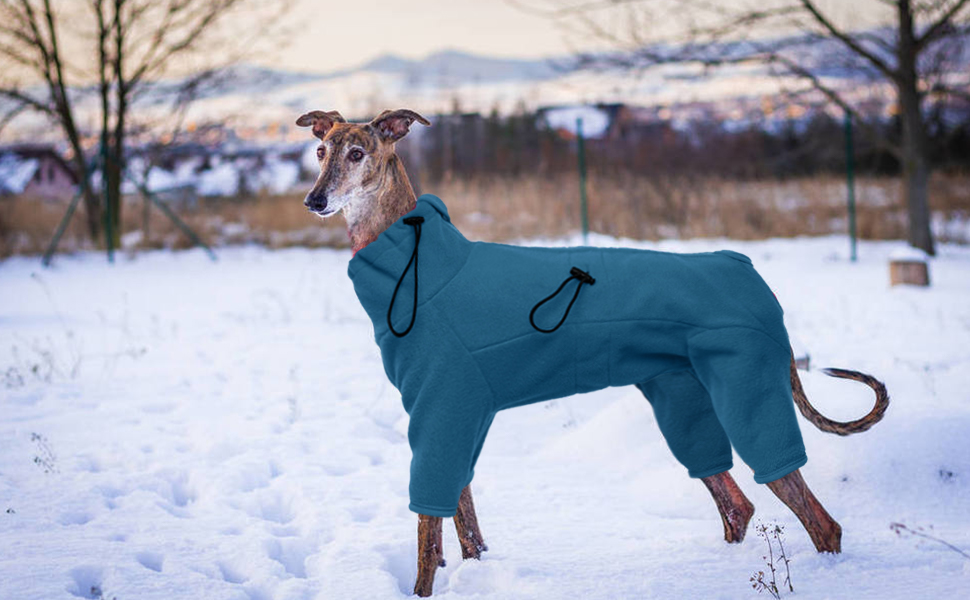 Зимовий одяг для собак: теплий флісовий пуловер для малих, середніх та великих собак. Вітростійкий одяг для тварин з блискавкою. Підійде для Чихуахуа (XXS-3XL). XL, блакитний