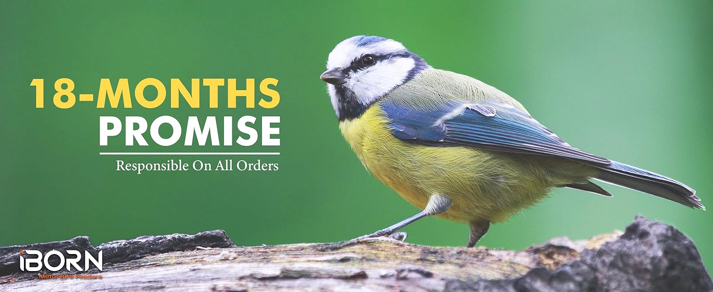 iBorn годівниця для птахів на підвіску, зелена, 2 шт. - металева, стійка до іржі, 20 см