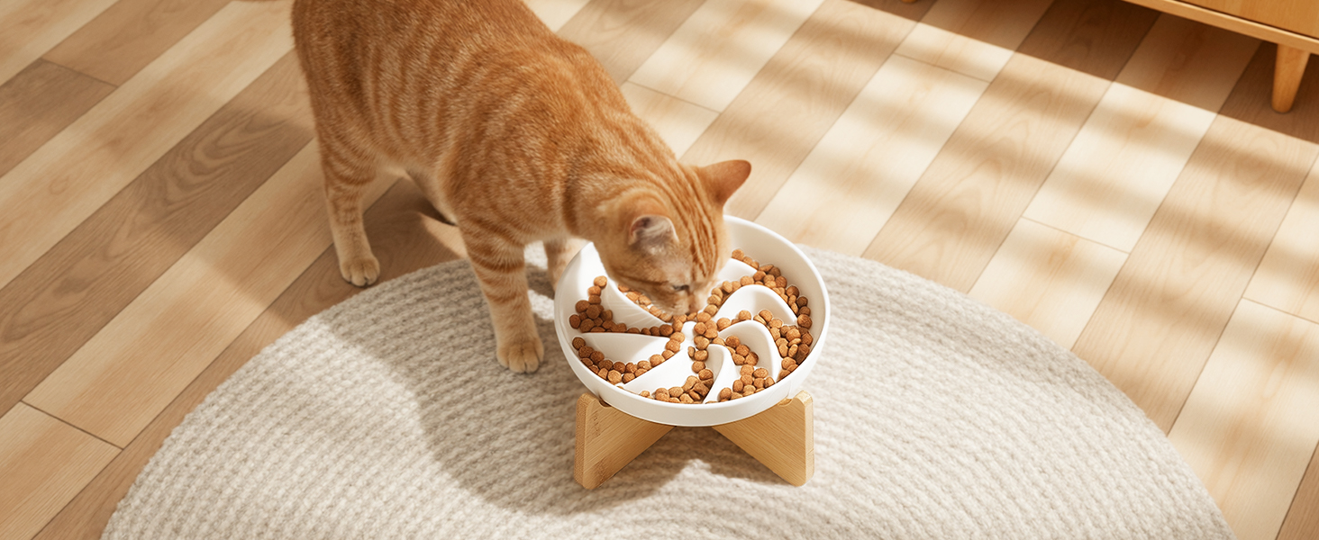 PETTOM Миска для котів протиковзаюча піднята, керамічна миска для котів, повільна годівниця для котів, миска протиковзання для котів та маленьких собак, біла миска + підставка (миска біла-квітка + підставка)