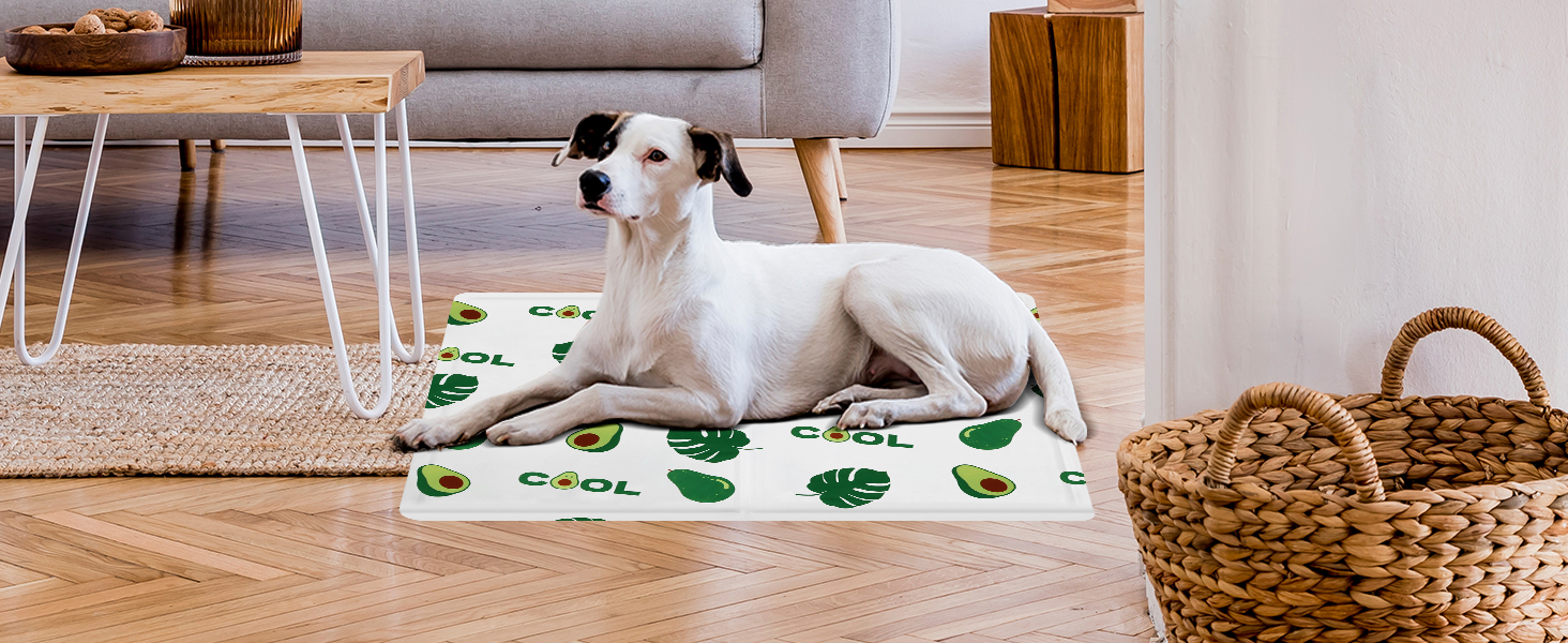 Кілим-охолоджувач для собак та котів Ninonly 50 x 65 см - самоохолоджуючий, водонепроникний, з нетоксичним гелем (Авокадо)