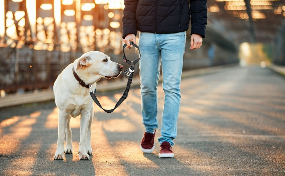 Автомобільний ремінь безпеки для собак Kelivi 3-в-1, чорний. Підходить для великих, середніх та маленьких собак. Ремінь безпеки для тварин, кріплення до підголівника, фіксація, нашийник.