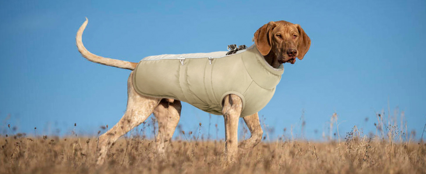 Водонепроникний теплий зимовий одяг для собак - куртка-манжетка з отвором для шлейки, армійський камуфляж, для собак маленьких, середніх та великих порід, з світловідбиваючими смугами, блискавкою (S, Абрикосовий)