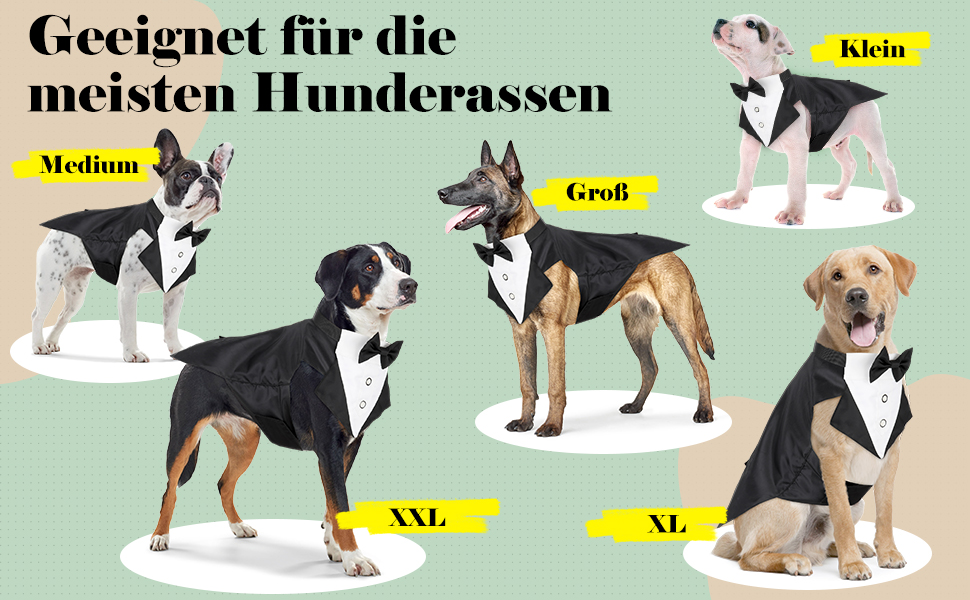 Елегантний костюм для собак Illumifun з краваткою та банданою, комплект для святкування, смокінг, жилет, сорочка, костюм для домашніх тварин знімний комірець (M)