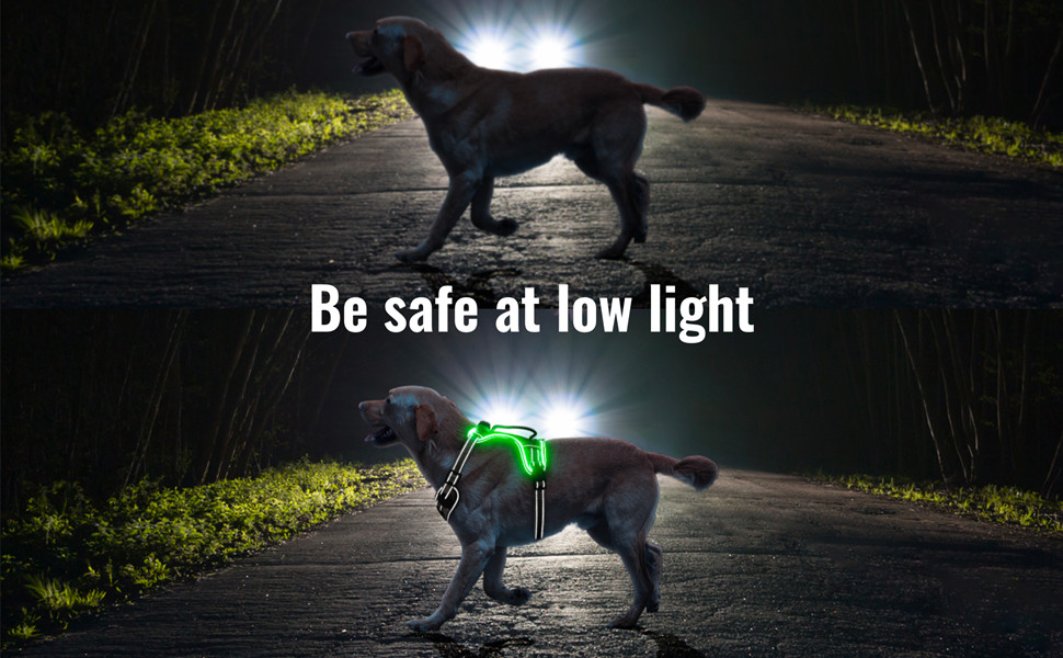 Шлейка для собак No Pull Light проти витягування з ручкою