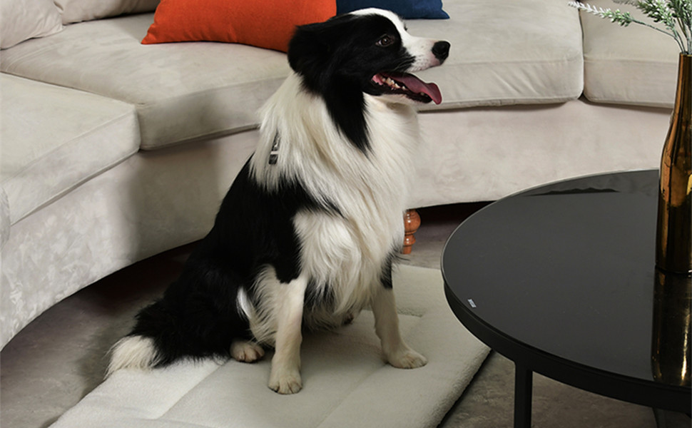 Крісло-ліжко для собак, плюшеве, 76,2 см, можна прати в пральній машині