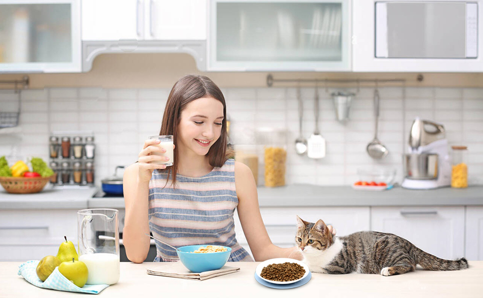 Набір мисок для котів з кераміки (3 шт.) з антиковзкими килимками, миски для корму котів, собак, кроликів, керамічні миски для їжі