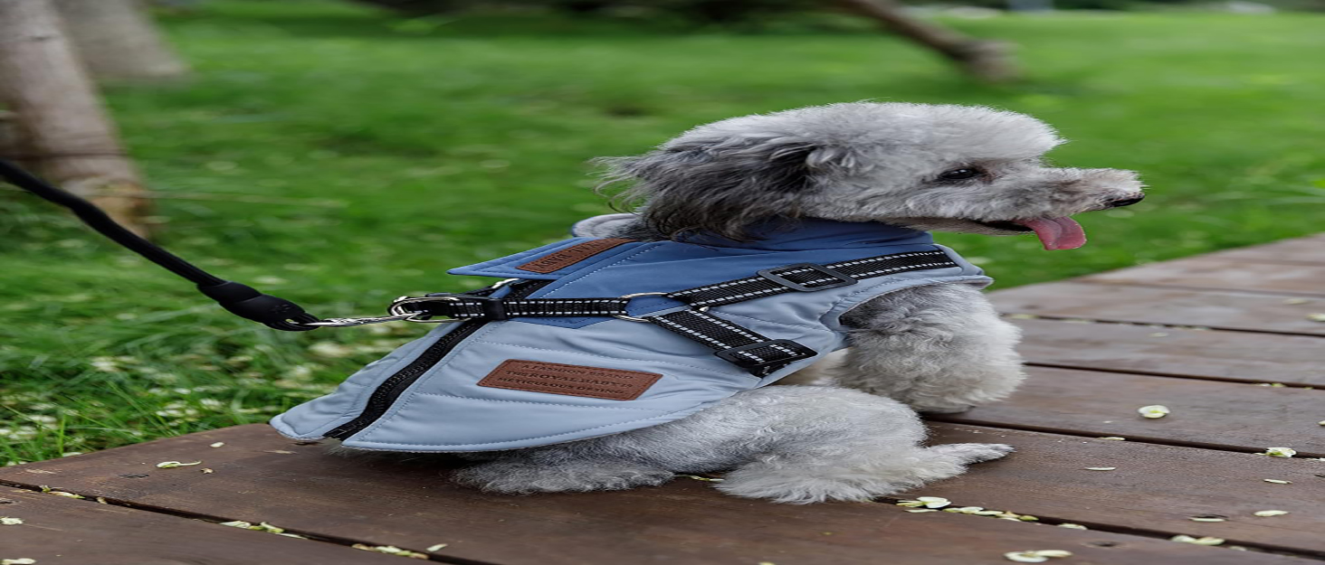 Водонепроникний теплий зимовий одяг для собак: куртка, жилет, плащ для маленьких та середніх порід, зелений