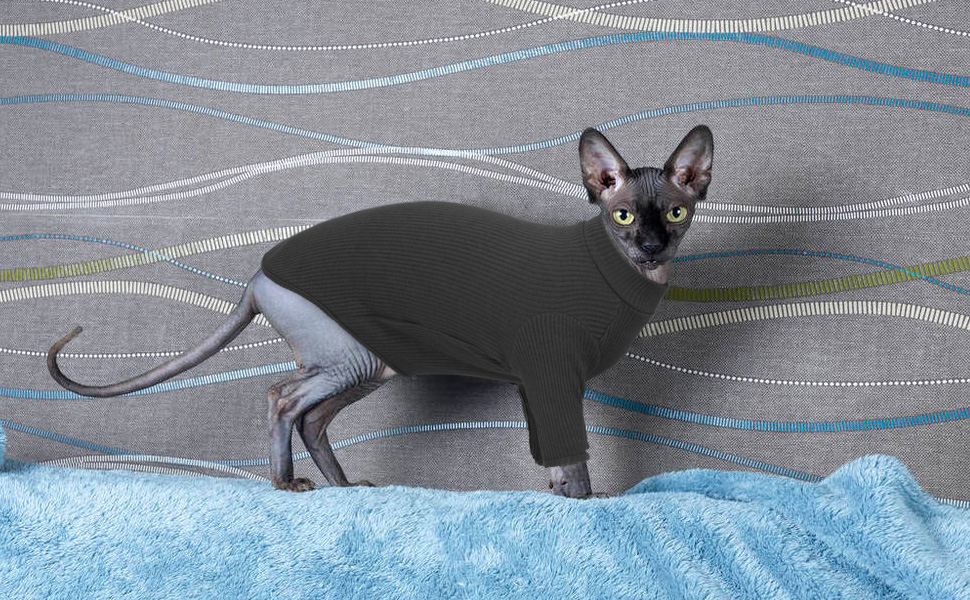 Одяг для безшерстних котів Sphynx: м'який пуловер з ролетним коміром, футболка, жилет. Чорний колір, розмір XL