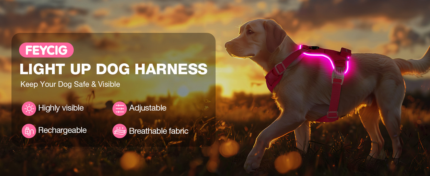 Світловідбиваючий нашийник для собак великих порід Feycig з LED підсвічуванням, акумуляторний, регульований, 3 режими світла, висока видимість (Рожевий, Medium)