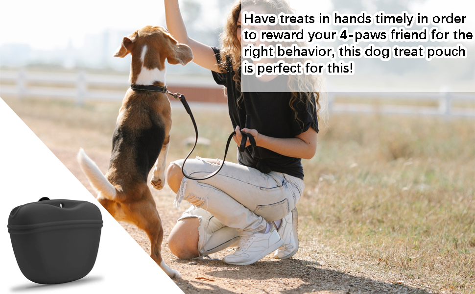 Сумка для ласощів для дресирування собак з силікону, з магнітною застібкою, з кліпсою для пояса, чорного кольору