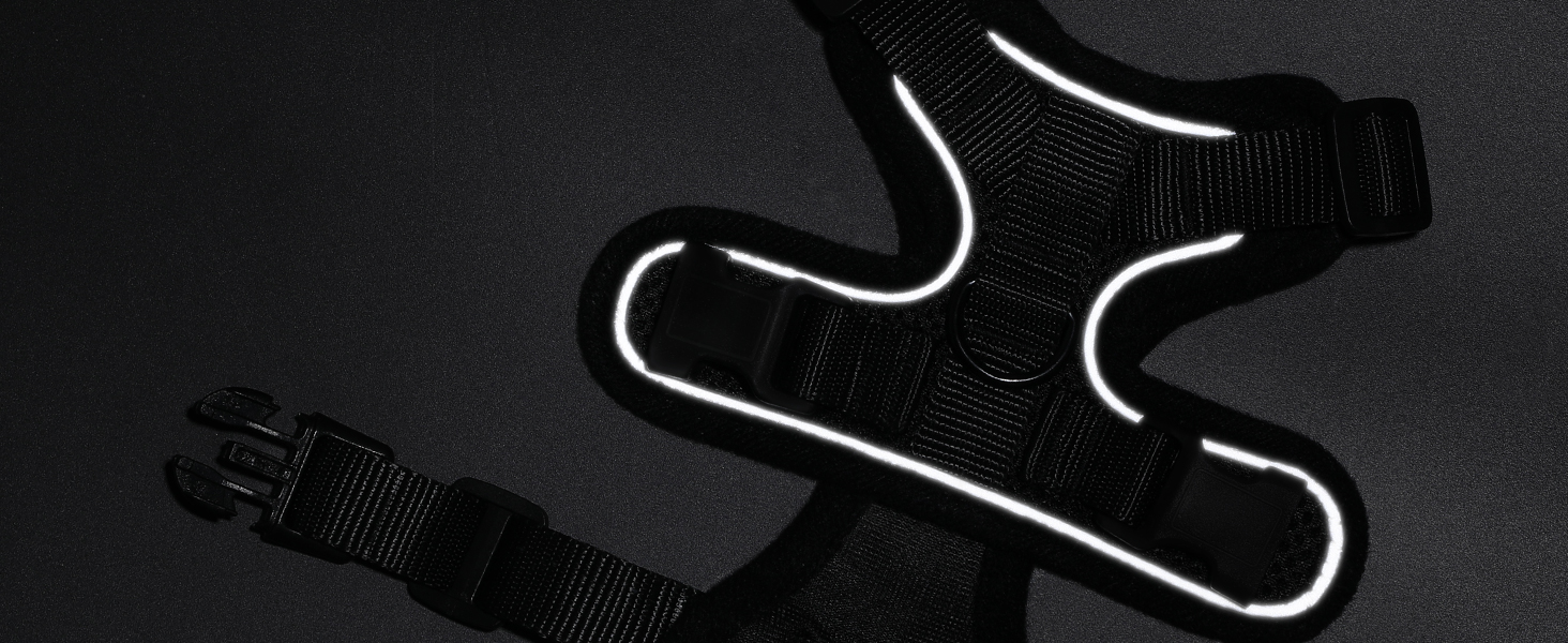 Шлейка для кота Rabbitgoo з повідком, чорна, м'яка, для котів, шлейка-жилет, безпечна, регульована, чорна, M (1 шт.)