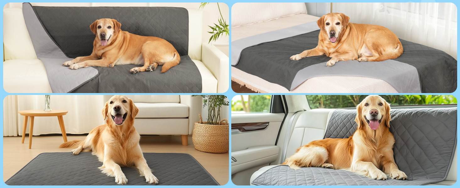 Водонепроникний килимок для собак на диван, ліжко та авто - котячий килимок, захист дивану/ліжка, двосторонній, стійкий до подряпин, можна прати, ідеально підходить для великих/маленьких собак, 203x152 см, сірий
