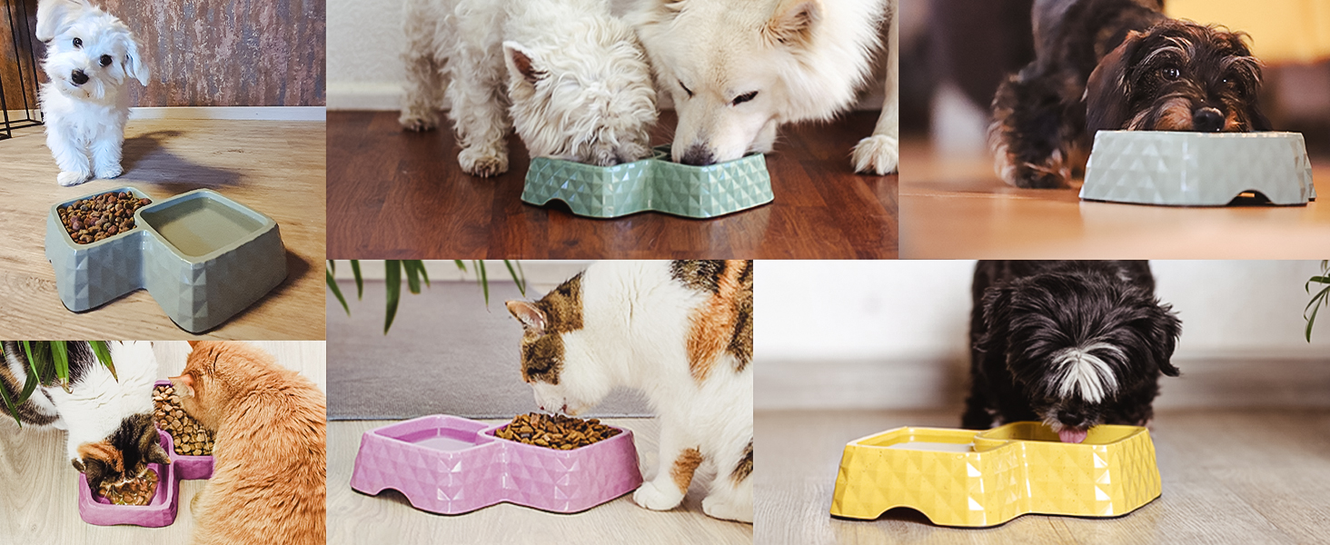 Подвійний миска для котів та маленьких собак ne&no® з бамбука, неслизька, до 400г корму та 350мл води, м'ятного кольору