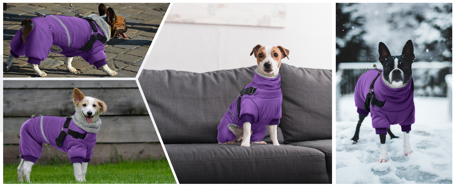 Водонепроникний теплий зимовий одяг для собак середніх порід, комбінезон з отвором для шлейки, тепла жилетка, светр для собак з кільцями D (M, фіолетовий)