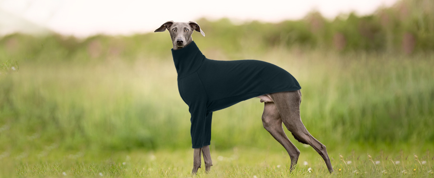 Пуловер з коміром-стійкою для гончих собак Windhund, зимовий одяг, тепла куртка для гончих, одяг для собак середнього розміру, светр для собак (3XL, темно-зелений)