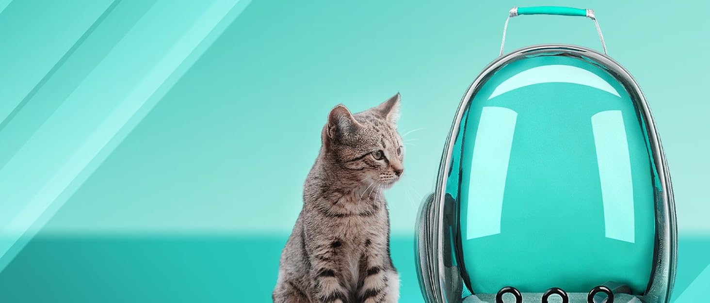 Рюкзак для кота та маленького собаки Lollimeow - зелений, для подорожей літаком, ідеальний для кошенят та цуценят