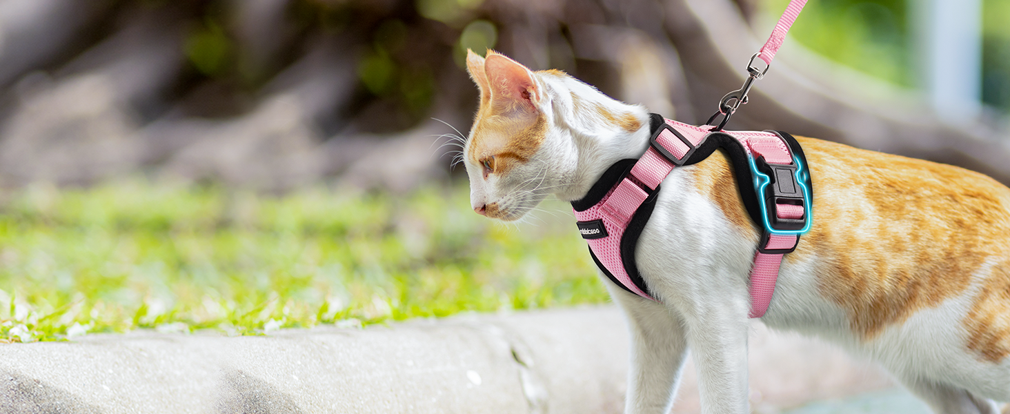 Шлейка для кота Rabbitgoo з повідком, м'яка шлейка для кота, шлейка-жилет для кота, безпечна та регульована, рожева, XS (1 шт.)