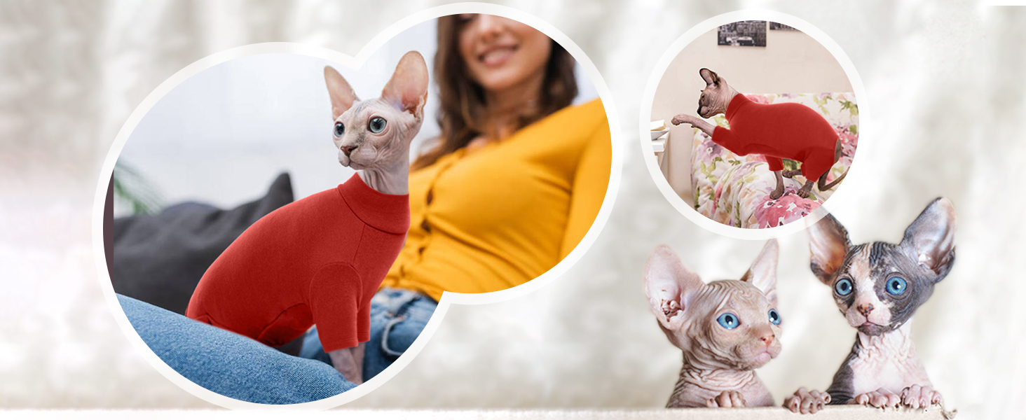 Пуловер для кота без шерсті (Сфінкс, Корніш Рекс, Девон Рекс, Петербал) | Одяг для котів після операції