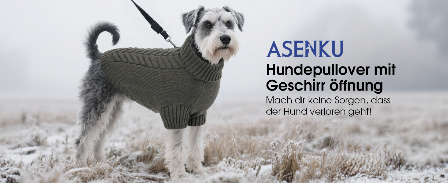 Теплий зимовий пуловер для собак S, пуловер з коміром-горловиною для чихуахуа, йорка, французького бульдога, мальтіза, зелений