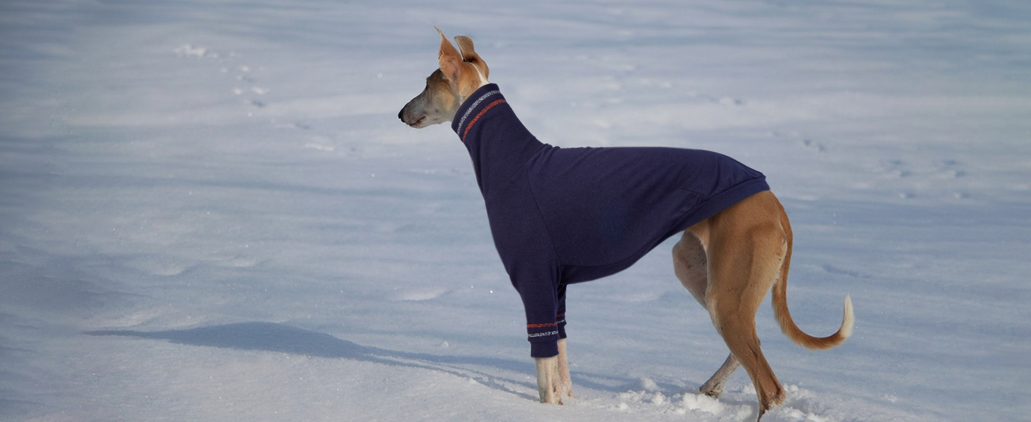Светр для грейхаунда, теплий костюм для віндхаунда, костюм з високим коміром для маленьких собак, блакитний, розмір M