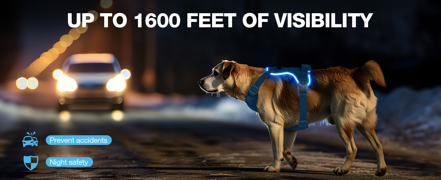 Світловідбиваючий нашийник для собак великих порід Feycig з LED підсвічуванням, акумуляторний, регульований, 3 режими світла, висока видимість (Рожевий, Medium)